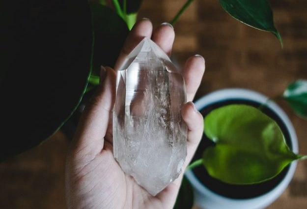 Left hand holding a clear crystal with plants on the background