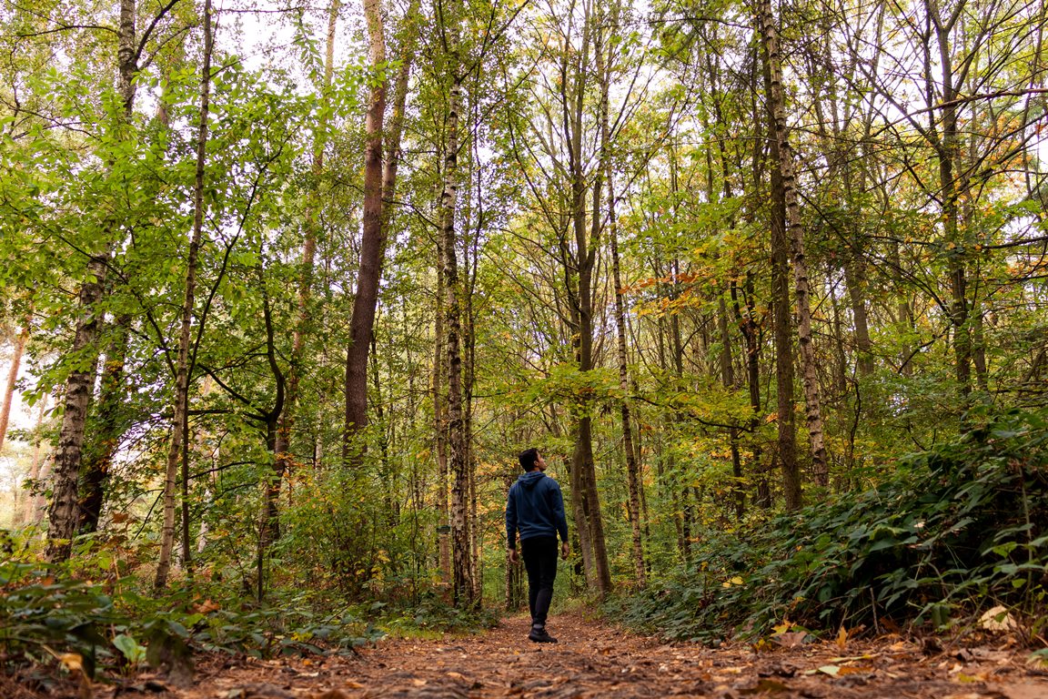 A man walking in the middle of a forest